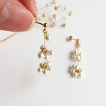 small swarovski crystal pearl ピアス／イヤリング
