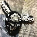 ねめしす様専用ページ