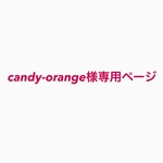Candy-orange様専用ページ
