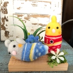 こいのぼりスーツ((´艸｀*))