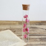 植物標本コルク瓶（ラークスパー）