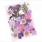 送料無料！(1セット)本物の花の押し花～パープル～花材