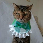 グリーンドレスコスプレ