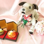 aibo着物スタイ③