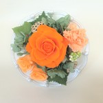 ＊5月末まで10％off　チャクラの花シリーズ　　第2チャクラ　オレンジ　＊こんな時こそお花を＊