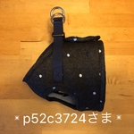 ❇︎p52c3724さま❇︎スタンダードDohggy (ドットデニム)