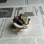 樹脂粘土 多肉植物 寄せ植え