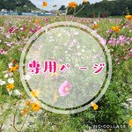 0901sino様専用ページ☆1才から使える移動ポケット*ふたなし*迷彩☆どんぐりポケット