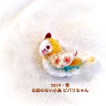 2019・春 名前のない小鳥  2月のビバリちゃん⑥