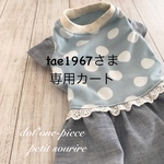 tae1967さま専用カート