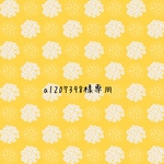 専用になります