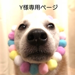 白柴犬の可愛いバックチャーム