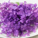 ＊４月限定お値下げ＊　アナベル紫陽花　あじさい　アジサイ　プリザーブド　モーブ