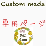[ainowa123様専用] お名前ワッペン各種