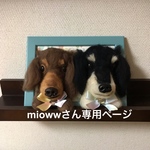 額縁犬オーダー 羊毛フェルト犬