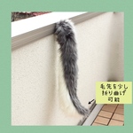 グレー狼さんの尻尾(一点物)