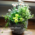 ꫛꫀꪝ✧‧˚1点もの❁*ジュリアン＆ローダンセマム＆桜でまり寄せ植え❁*。プレゼントにも最適