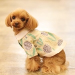犬服＊レモンイエロー花柄シャツワンピース