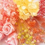 ドライフラワー・プリザーブドフラワー・花材セットsp