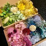 可愛いハーバリウム 花材セット