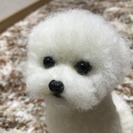 羊毛フェルト  ビジョンフリーゼ   犬