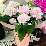 専用商品