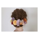 minniech様 オーダー専用ページ