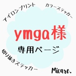 専用ページ