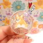 再販×6！コーギーの大人可愛い💓flowerパールのキラキラ✴️ポニーフック❤️✨ 送料無料 春 犬 花 大人女子 プレゼント ラッピング 限定