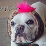 【首回り４５㎝以上のワンちゃん用】スヌード用オプションカート