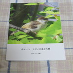 赤チュン　～スズメの巣立ち雛～