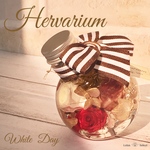 White Day 薔薇 ハーバリウム