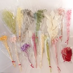 【sale】花材 15種詰め合わせ②