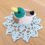 池や湖沼で会える鳥～マガモ～ 