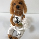 オーダーページ for Pigさん