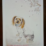 【mihosaku674様オーダー品】愛犬イラスト