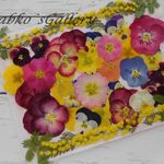 ★　びおら&ジュリアン１　押し花素材　★