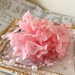 桜キラキラアナベル❣️レジンアクセサリー花材プリザーブドフラワー紫陽花