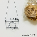 camera.wire