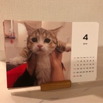 よぐカレンダー