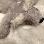 【BEAST様専用ページ】くたくたぎんぎつねさん