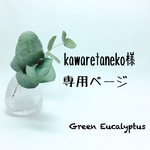 kawaretaneko様オーダー専用ページ