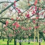 towa-yuki08 様 専用
