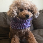 リバーシブルネックウォーマー☆緑×紫