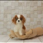 羊毛フェルト　犬　小さなキャバリアさん　手のひらサイズ　犬フィギュア