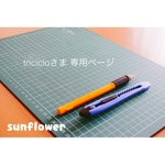 tricicloさま 専用ページ