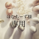 はむちーず 様 専用