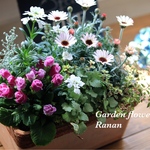 再販*･ꫛꫀꪝ✧‧˚1点もの❁*。春の寄せ植え❁*。オステオスペルマム＆イベリス❁*。小ぶりな寄せ植え