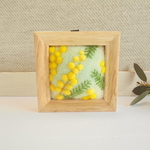 羊毛フエルト刺繍のぷっくり壁飾り（ミモザ）