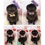 ハート柄シュシュ猫ちゃんの首輪 